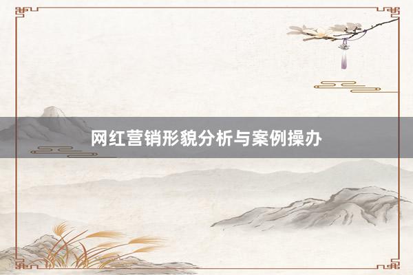 网红营销形貌分析与案例操办